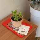 소쿠리과자점 이미지