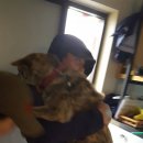 백록동물병원 이미지