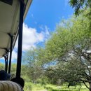 치타박스 | 모리셔스 여행 가볼만한곳 #1 카젤라파크 액티비티 예약 종류 사파리 사자 산책 치타 사진 가격 꿀팁 후기