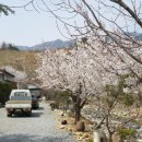 소백정원 이미지