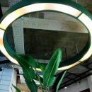 하백의정원 이미지