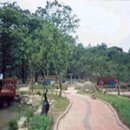 광평로10길(대모산1로) 이미지