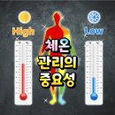 체온 과리의 중요성 이미지