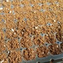 최부자농장 이미지