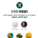 일양헬스 | 일양약품 혈당건강 바나바리프 60정 2박스+2박스 8개월분