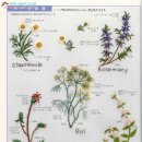 야생화 자수 이미지