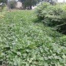 희식농장 이미지