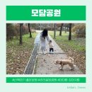 43공원공중화장실 | 김포 운양동 주말에 아이와 시간 보내기 좋은 모담공원