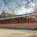 서울난청센타 이미지