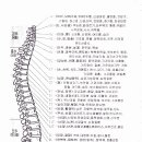 #2 "암! 트리거를 찾아라" 말기 암과 불치병, 한방에 치유될 수도 있다. 이미지
