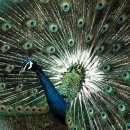 준호농장 이미지