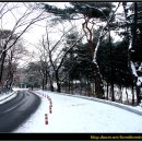 호미숙 사진영상[하얀 겨울 남산의 일출(해돋이)설경] 이미지