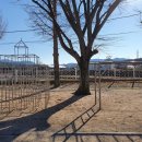 문충초등 이미지