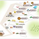 단풍숲캠핑장 티스토리