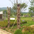 매화미르마을 이미지