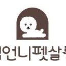 김언니 펫살롱 이미지