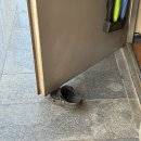 억수씨고깃집 | 마음을 잃지 않게