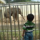 달성공원 이미지