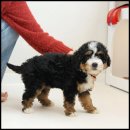 유어라운지 이미지