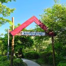 초안산 유아숲체험장 | 노원 불암산 힐링타운 유아숲 체험장