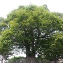 전자앨범 만들기 이미지