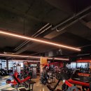 더바디스쿨 이미지