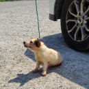 삼봉산로 이미지