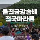 울진종합운동장 | [러닝/마라톤] 2025년 울진 금강송배 전국마라톤 찐후기, 안 뛰던 일반인 갑자기 하프 뛴 결과!
