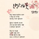 진달래꽃 / 한명화 시 / 이은영 시낭송 / 제1회 설봉문학 부소산전국시낭송대회 동상 수상작 이미지