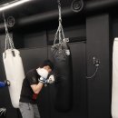 팀 해명 짐 이미지