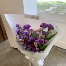 더피우리 이미지