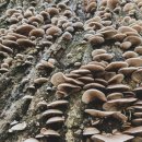 원주큰별어린이집 이미지