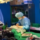 24시 아프리카동물병원 이미지