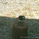 산촌사랑 이미지