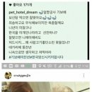 최여진 엄마의 논리정연 이미지