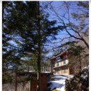 아라리쉼터 이미지