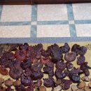 230-1-000034 이미지