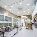 원애견샵 이미지