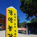 부흥염소농장 이미지