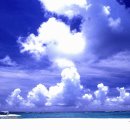 푸른바다 이미지