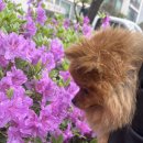 원미구 부일로 509 이미지