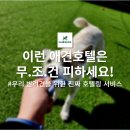 쁘니애견 | 이런 애견호텔은 무조건 피하세요!