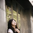 데이라이트 뉴시스