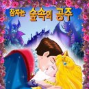 숲속안경원 이미지