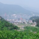 세라존 이미지