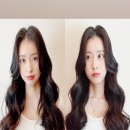 젤리통통 이미지