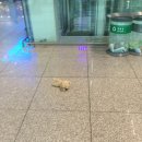 (유)호암마트넷 | 12월의 후쿠오카로 떠나요 ~ 🛫