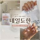 세븐일레븐부산서면이랜드점 | 부산 서면 네일샵 추천 :: 5년째 다니는 '네일드한' 내돈내산 솔직 후기 (+가격·예약 정보)
