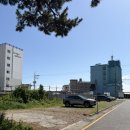 중화중학교옆 공터앞 | 📍 울산 진하해수욕장 맛집 | 방가루 진하서생본점 방문 후기, 5000원 짜장면 가성비 중식집