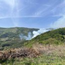 김삿갓면-37 이미지